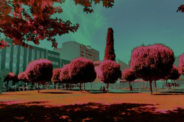 Oneiric_cap11 Oneiric_cap11