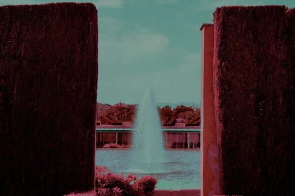 Oneiric_cap8 Oneiric_cap8