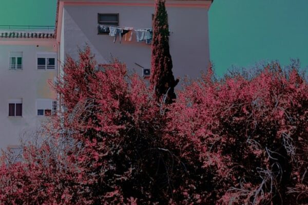 Oneiric_cap9 Oneiric_cap9